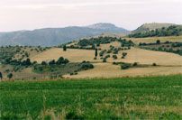 Landschaft im Innern der Insel